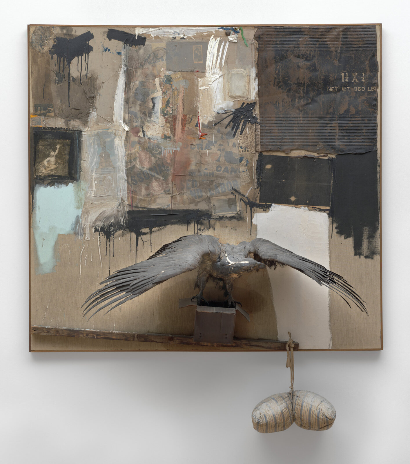 Rauschenberg, Canyon (1959)