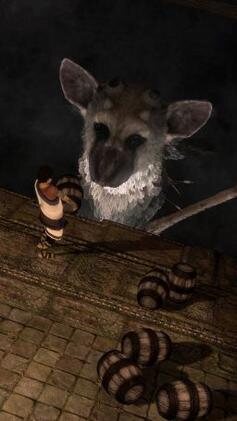 The Last Guardian: the boy and Trico