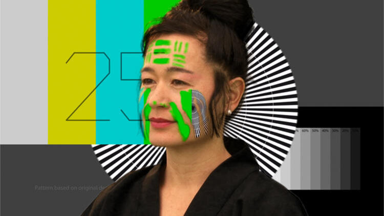 Steyerl, How Not to Be Seen (2013)