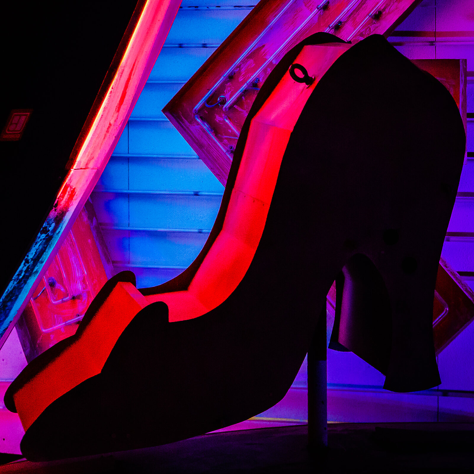 The Neon Boneyard